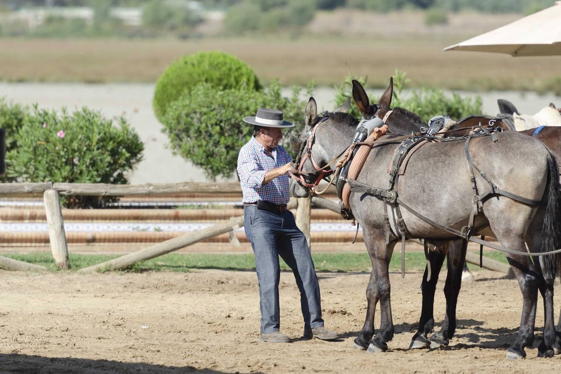 El Rocío Chico: un año más de agradecimiento a la Virgen