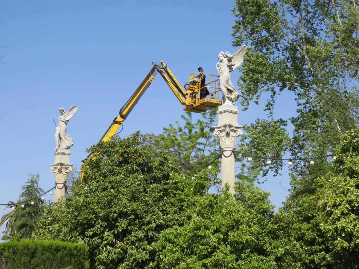 Recuperación de las victorias aladas del Parque María Luisa