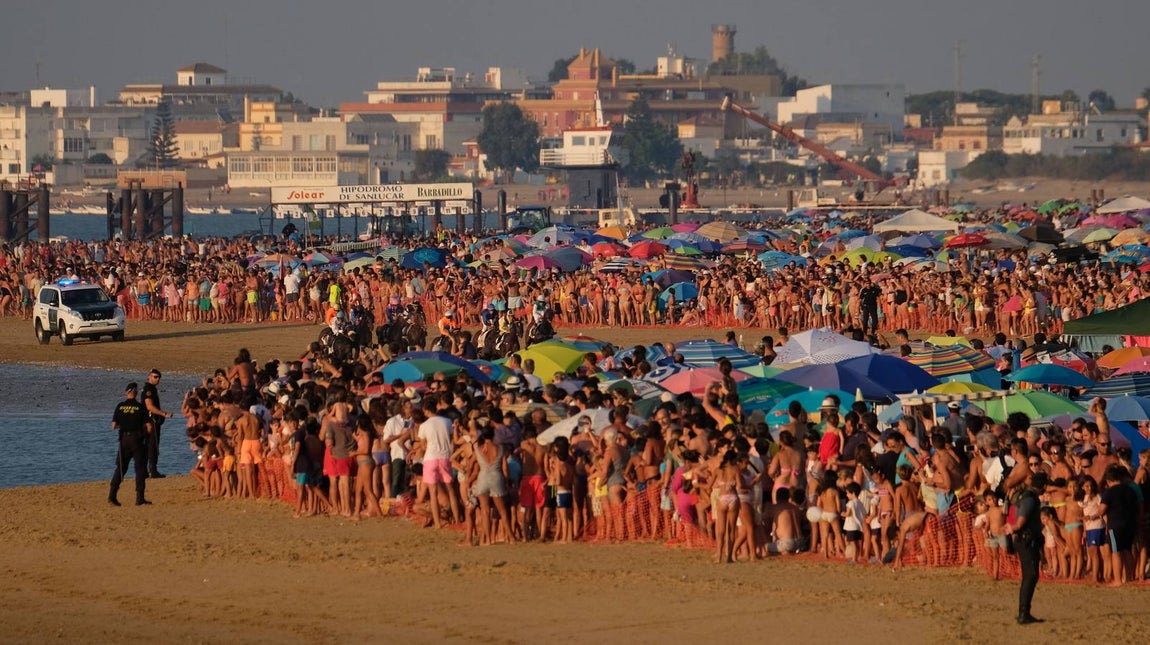 Los caballos vuelven a tomar la playa de Sanlúcar de Barrameda