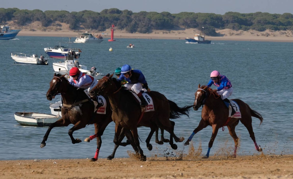 Los caballos vuelven a tomar la playa de Sanlúcar de Barrameda