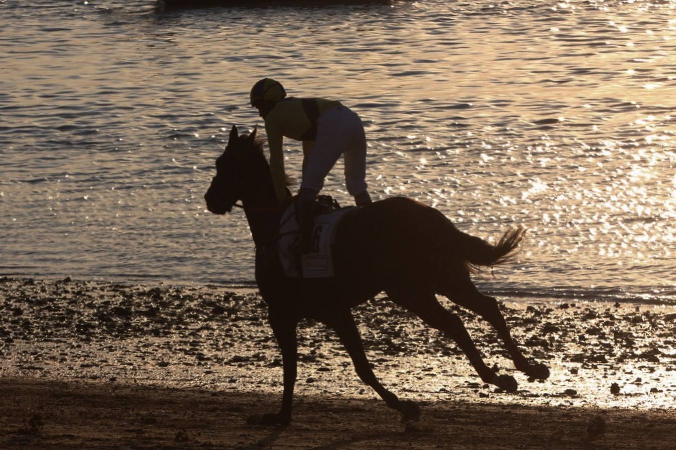 Segundo ciclo de Carreras de Caballos de Sanlúcar