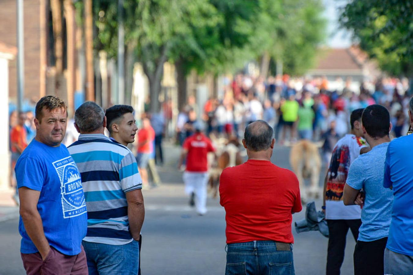 Segundo encierro de las fiestas de Añover