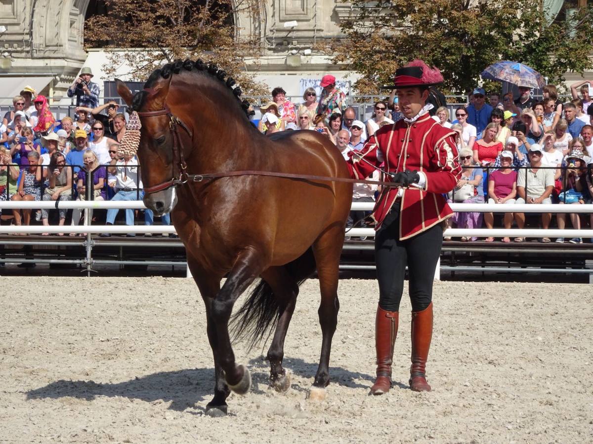 Fotogalería: Córdoba Ecuestre se luce en Moscú