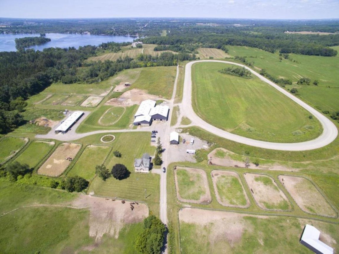 Entorno. La casa está alejada del núcleo urbano, sobre un enorme terreno junto al ago Puslinch, un enorme terreno llano con establos y pistas de carreras