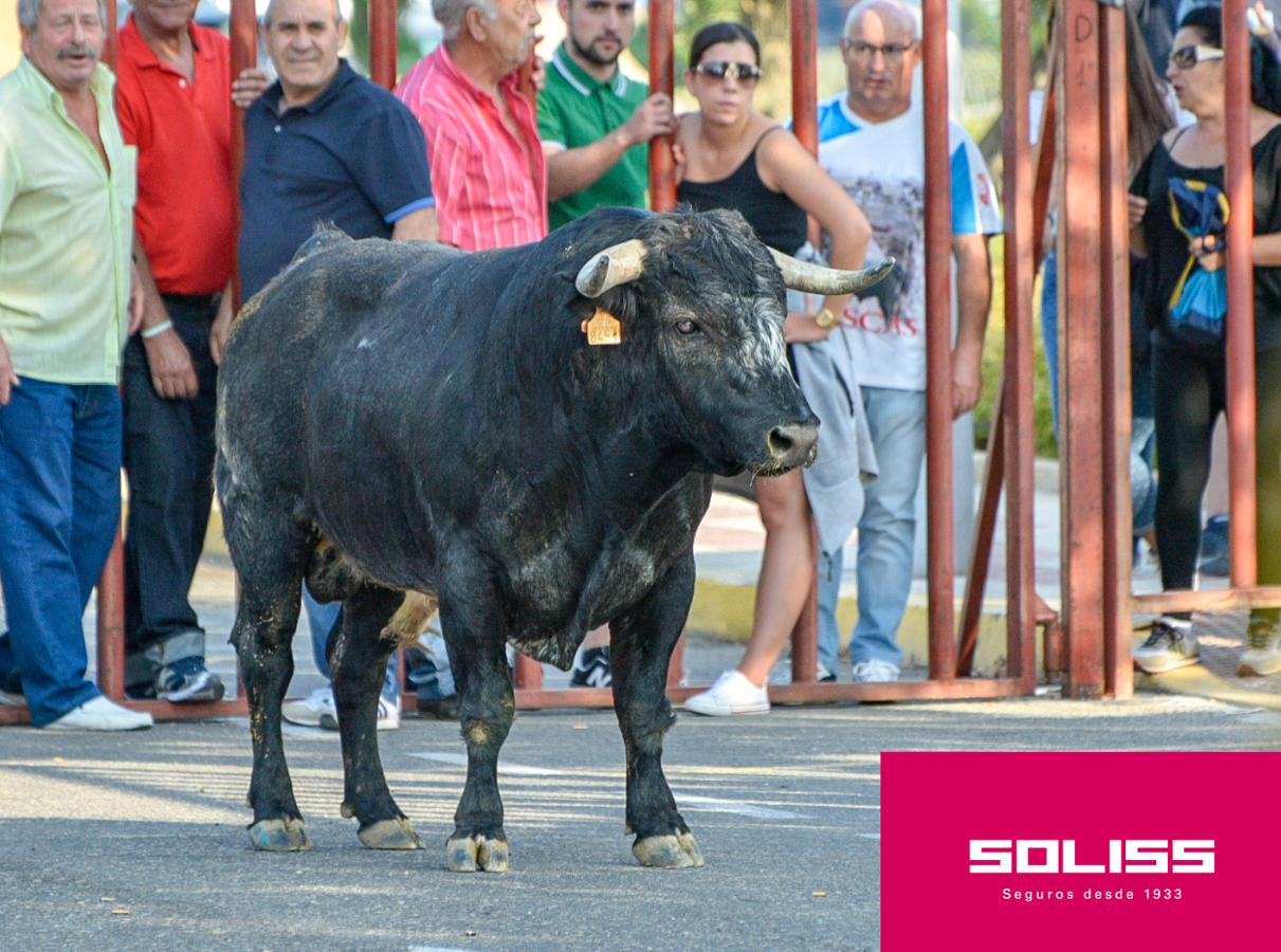 Primer encierro de las fiestas de Illescas