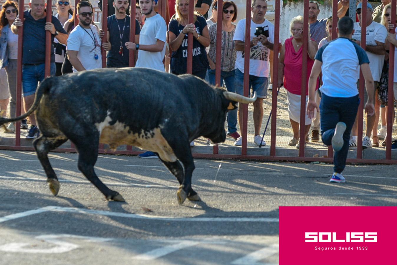 Primer encierro de las fiestas de Illescas