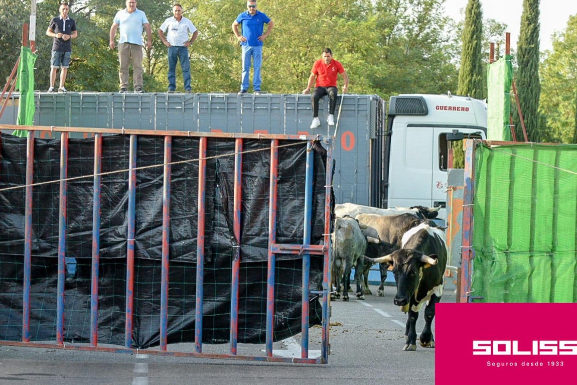 Primer encierro de las fiestas de Illescas