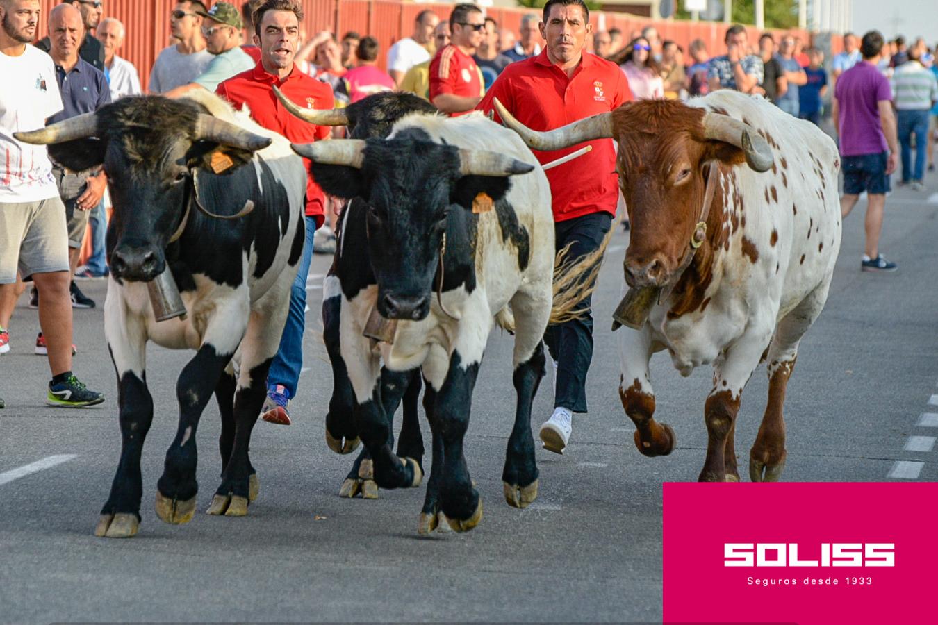 Primer encierro de las fiestas de Illescas