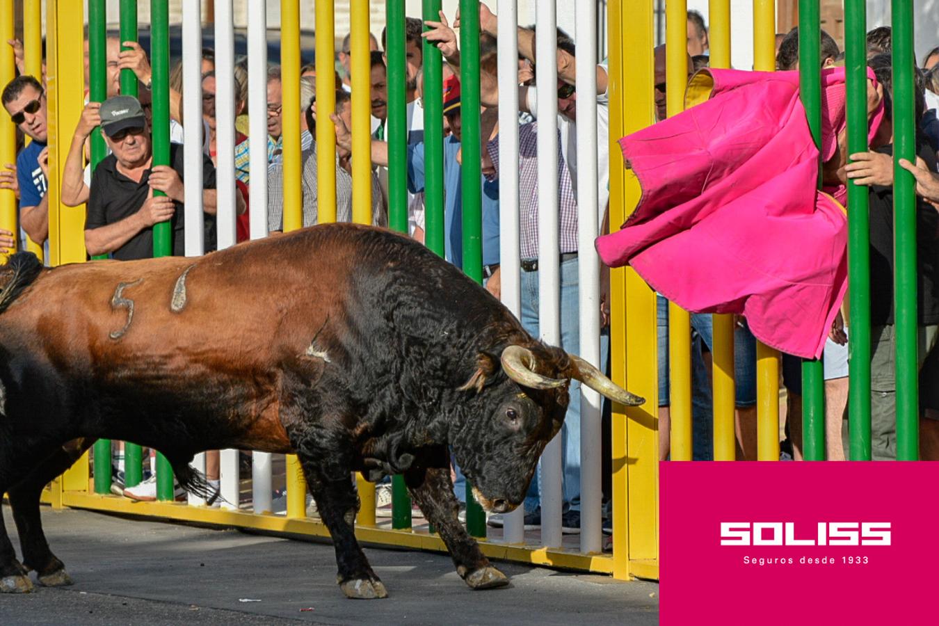 Primer encierro en Villaseca de la Sagra