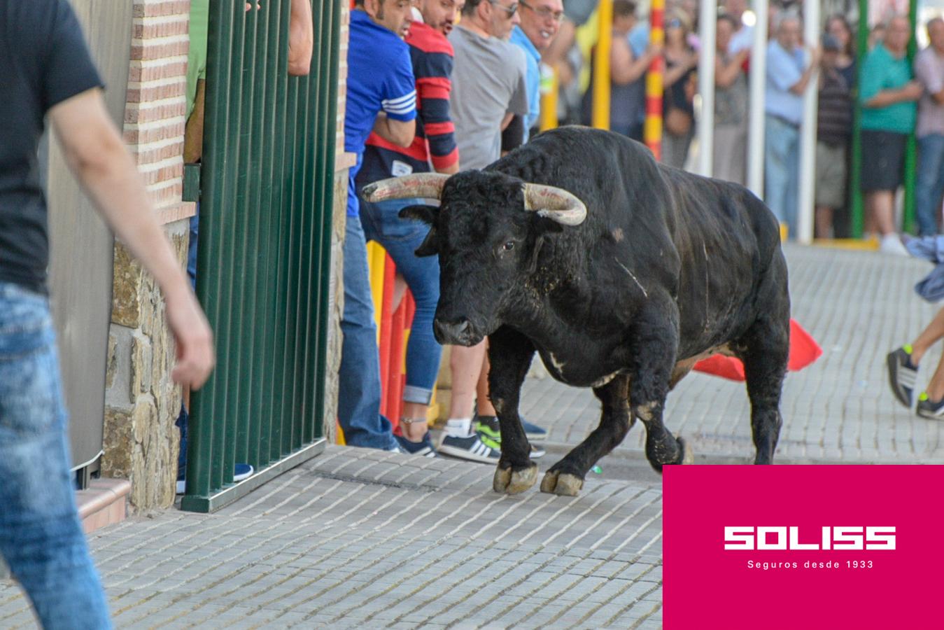 Primer encierro en Villaseca de la Sagra