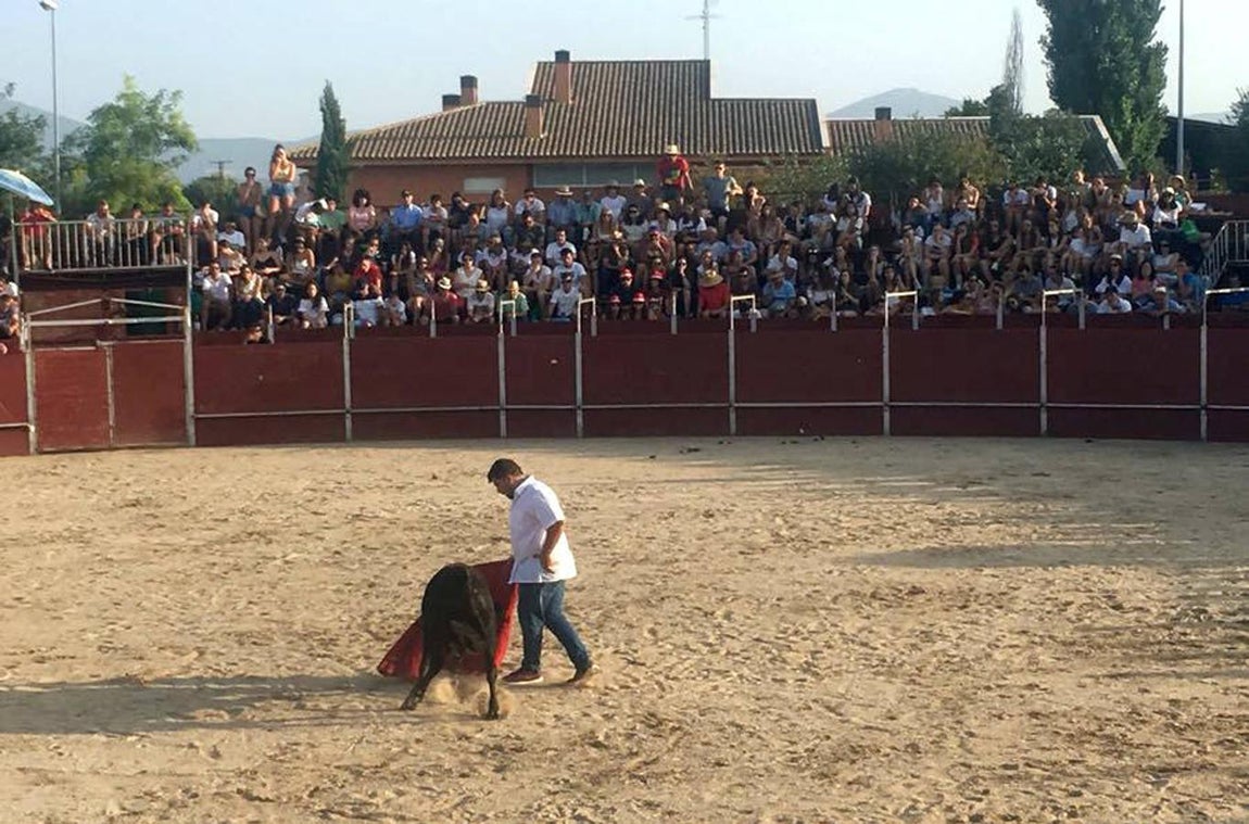 Becerrada popular en Menasalbas