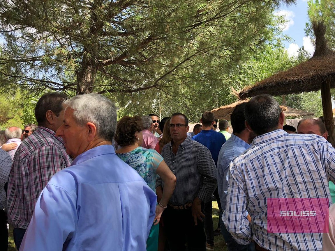 La fiesta de la ternera de Menasalbas, en imágenes