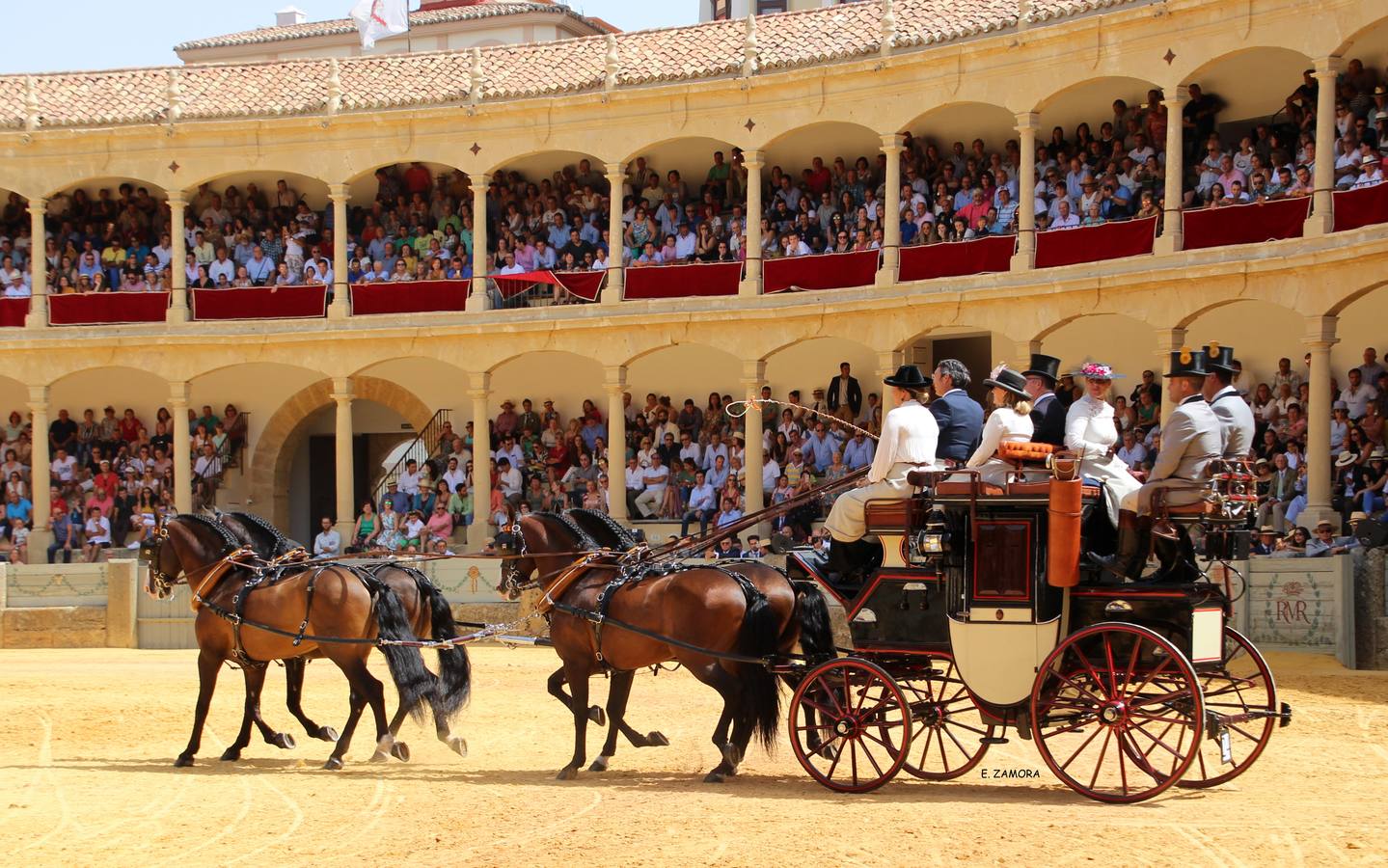 Lo mejor de la Exhibición de Enganches de Ronda