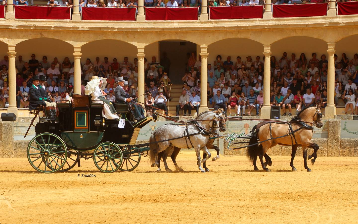 Lo mejor de la Exhibición de Enganches de Ronda