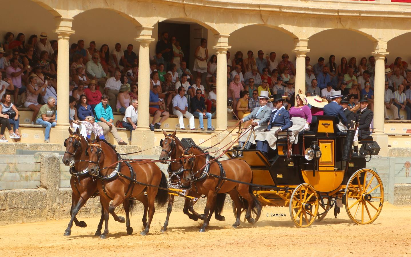 Lo mejor de la Exhibición de Enganches de Ronda