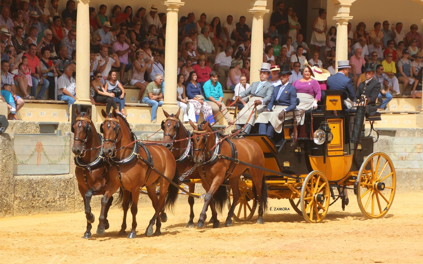 Lo mejor de la Exhibición de Enganches de Ronda