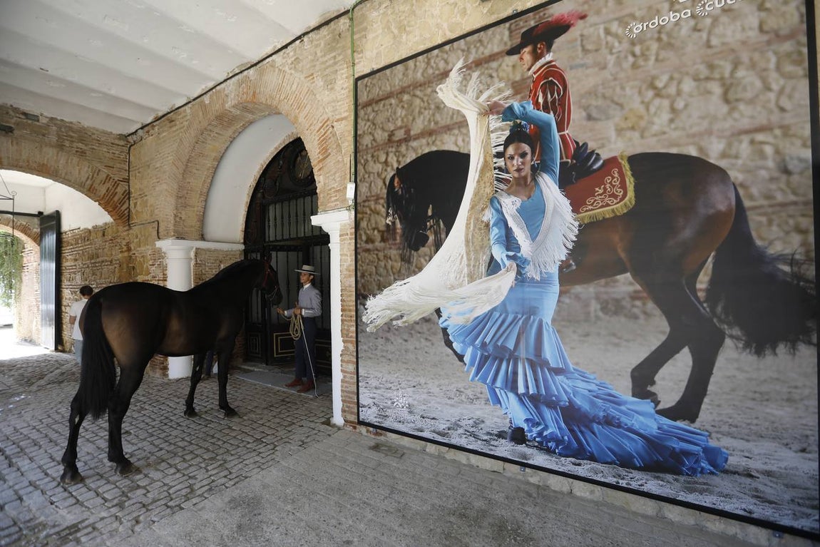 La primera jornada de Cabalcor, en imágenes