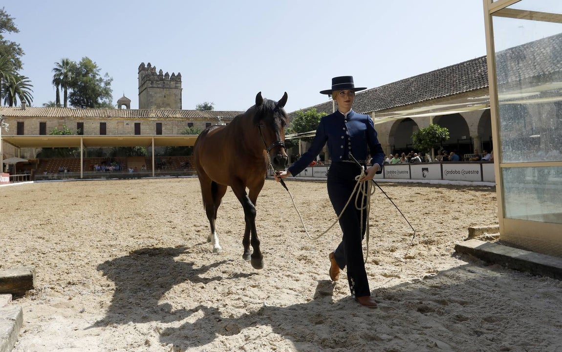 La primera jornada de Cabalcor, en imágenes