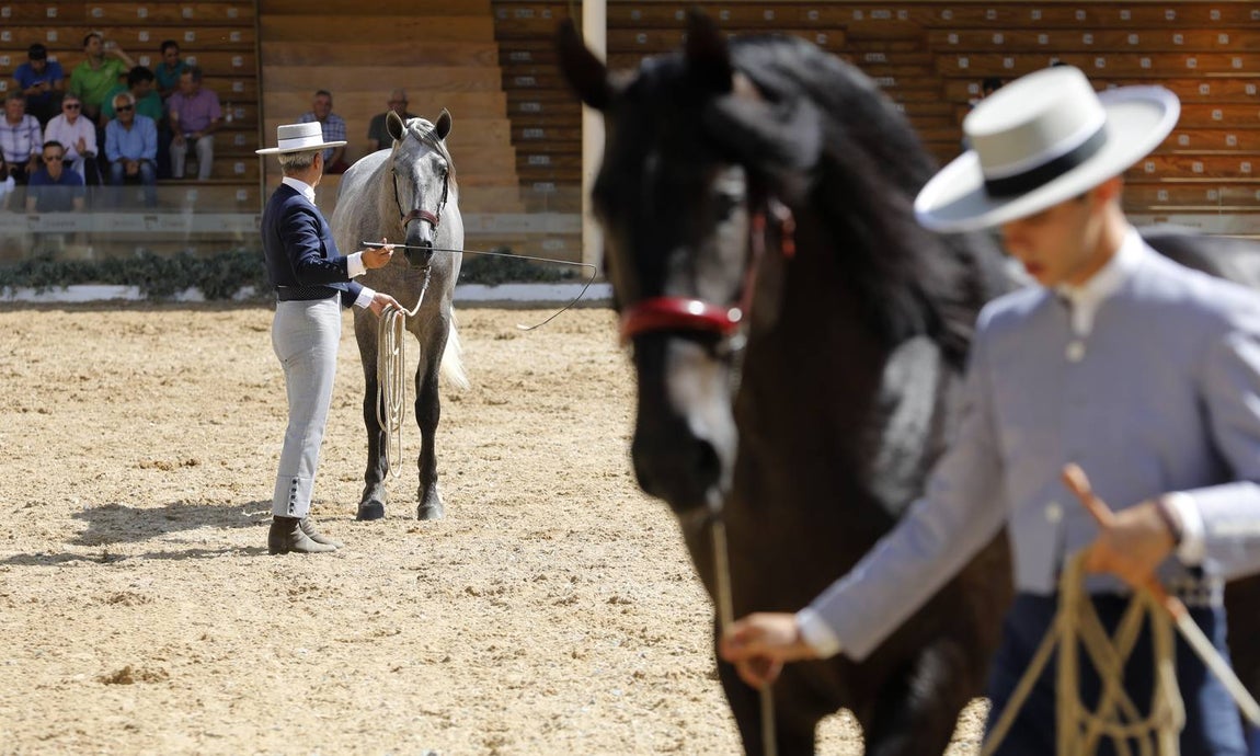 La primera jornada de Cabalcor, en imágenes
