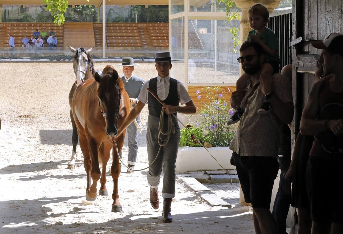 La primera jornada de Cabalcor, en imágenes