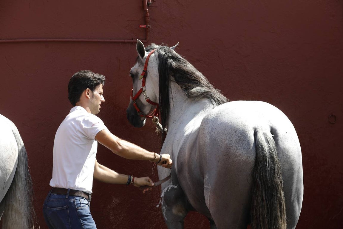 La primera jornada de Cabalcor, en imágenes