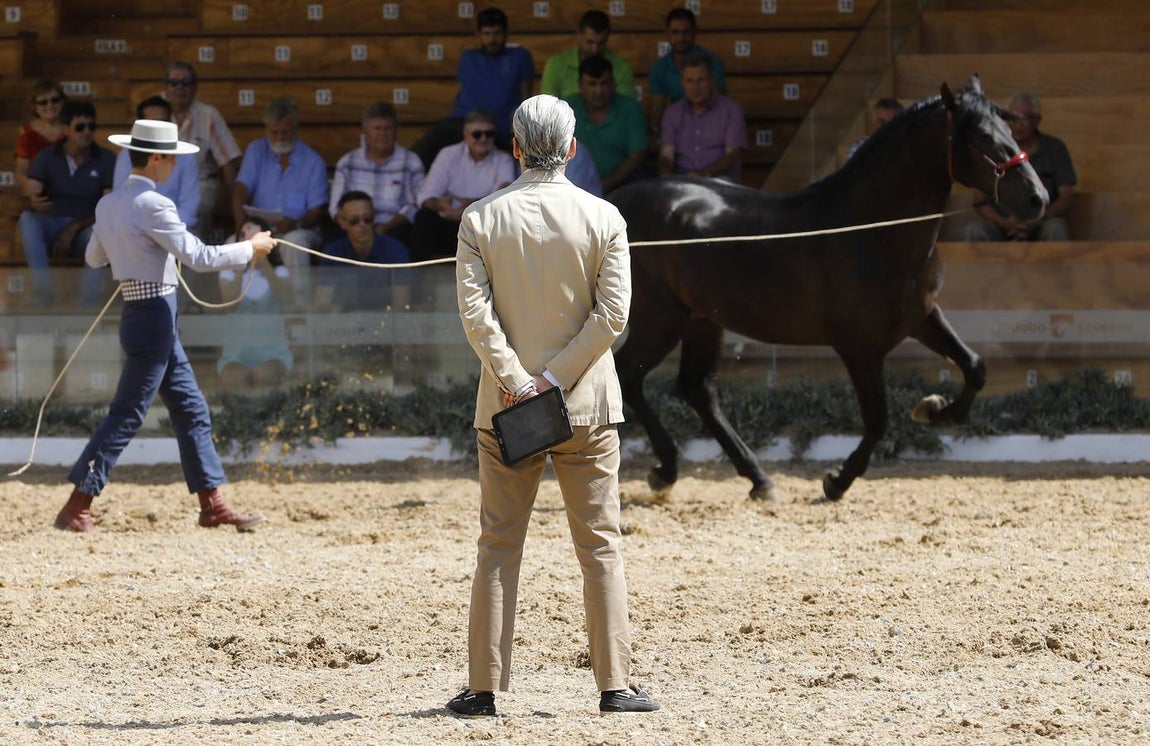 La primera jornada de Cabalcor, en imágenes