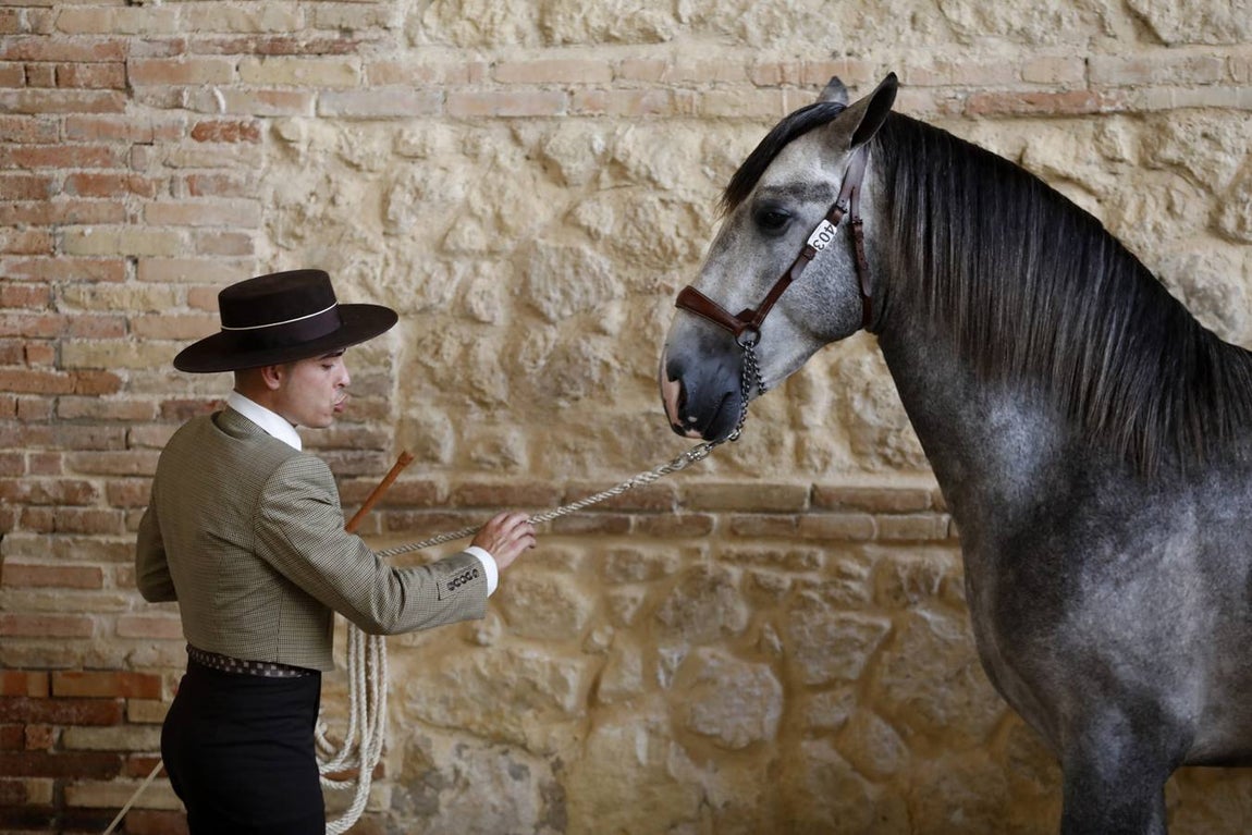 La primera jornada de Cabalcor, en imágenes