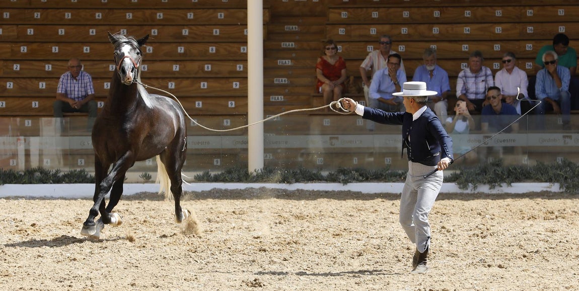 La primera jornada de Cabalcor, en imágenes