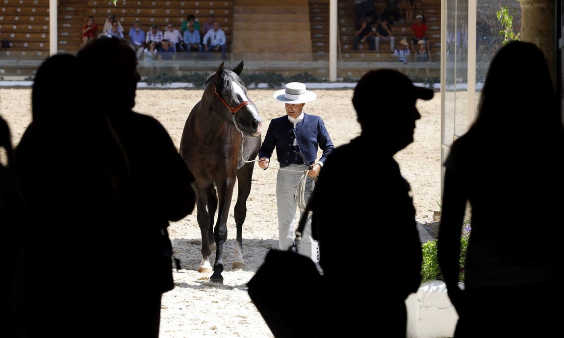 La primera jornada de Cabalcor, en imágenes