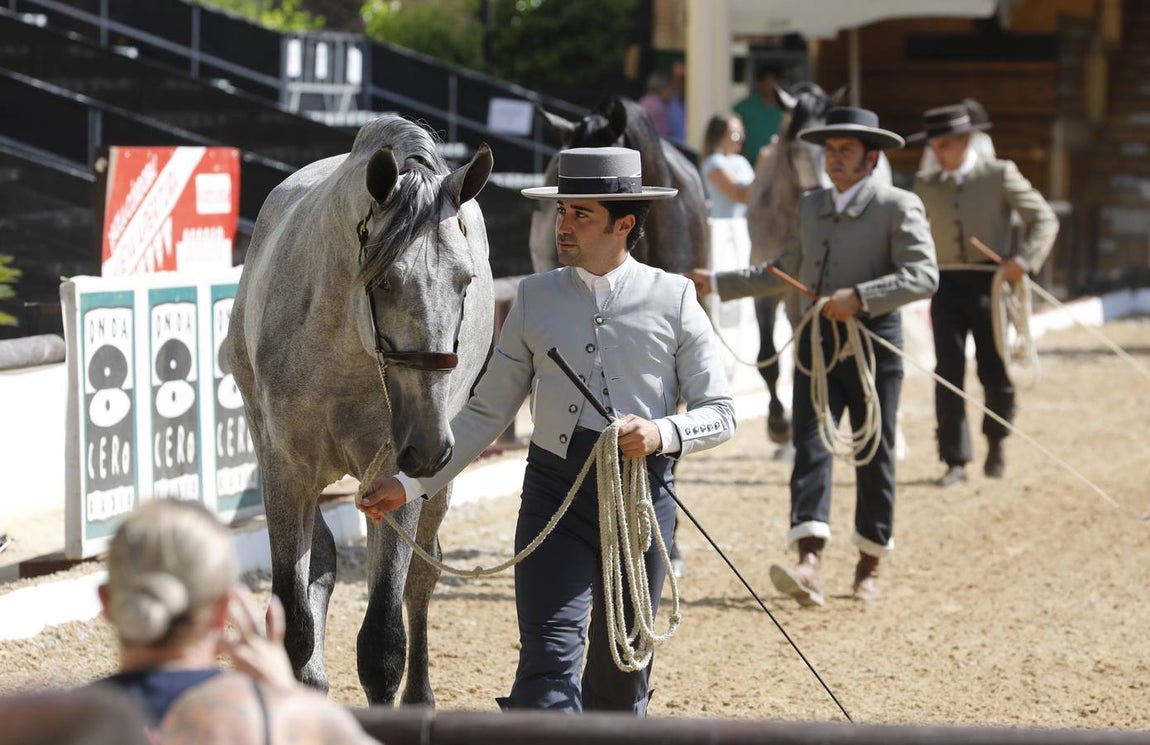 La primera jornada de Cabalcor, en imágenes