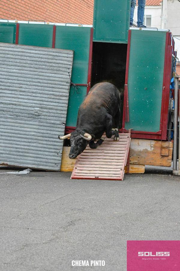 Encierro y recortadores en Numancia de la Sagra