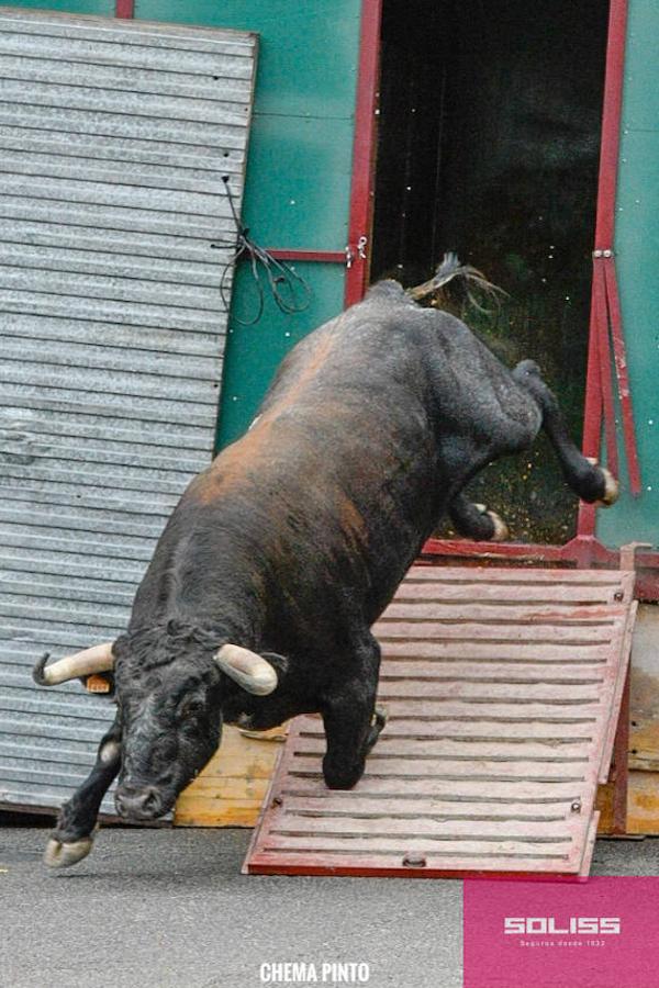 Encierro y recortadores en Numancia de la Sagra