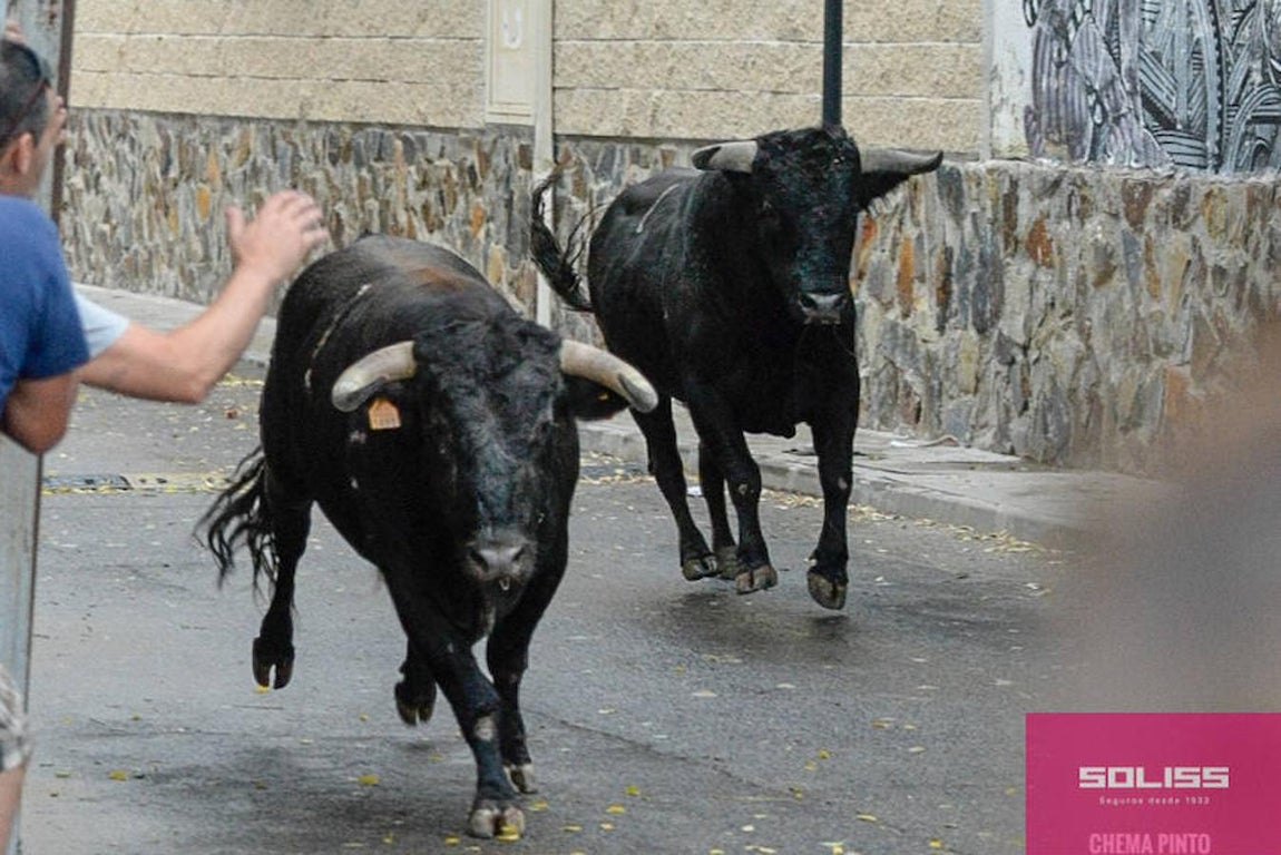 Encierro y recortadores en Numancia de la Sagra