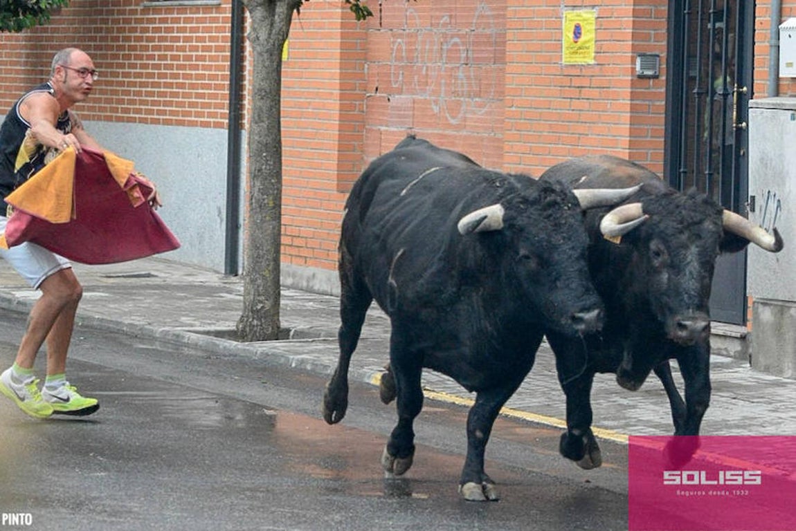 Encierro y recortadores en Numancia de la Sagra