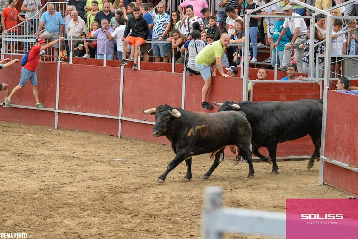 Encierro y recortadores en Numancia de la Sagra
