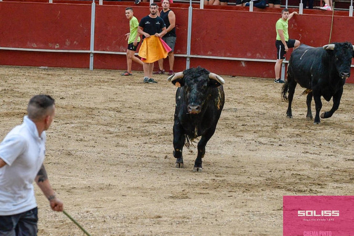 Encierro y recortadores en Numancia de la Sagra