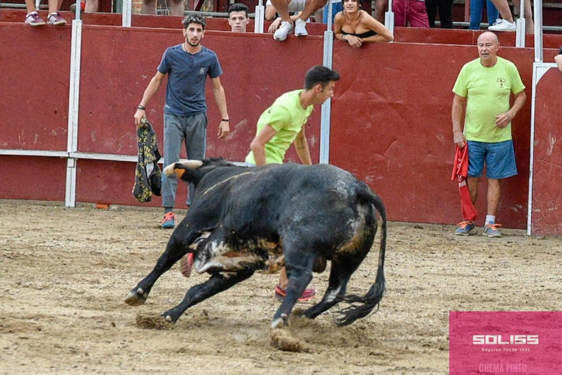Encierro y recortadores en Numancia de la Sagra