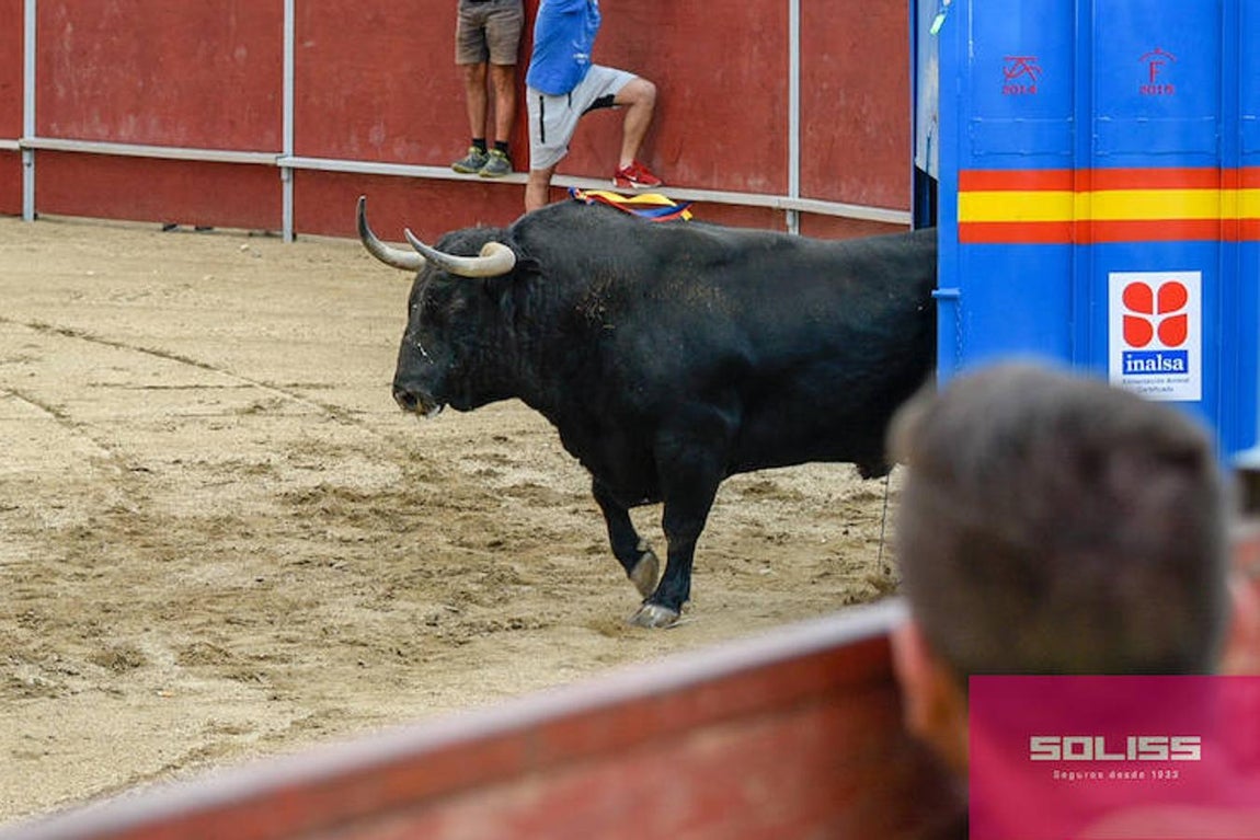 Encierro y recortadores en Numancia de la Sagra