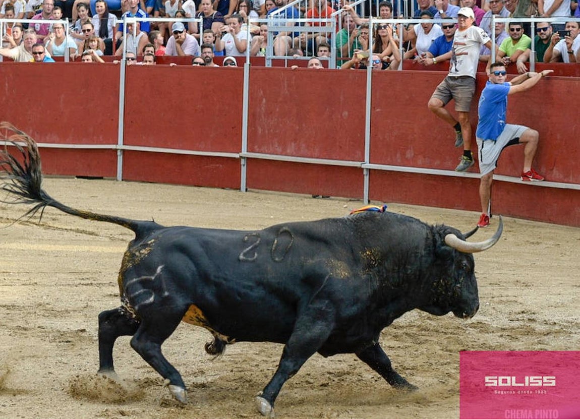 Encierro y recortadores en Numancia de la Sagra