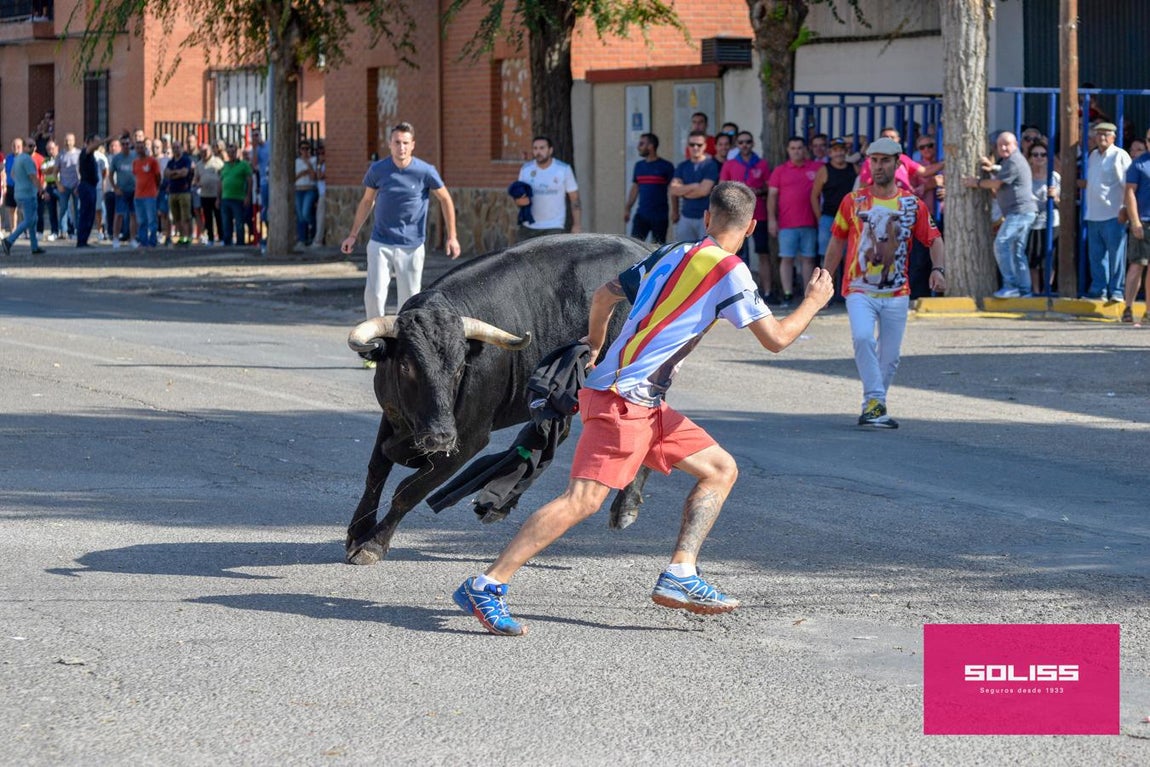 El encierro de Cobeja, en imágenes