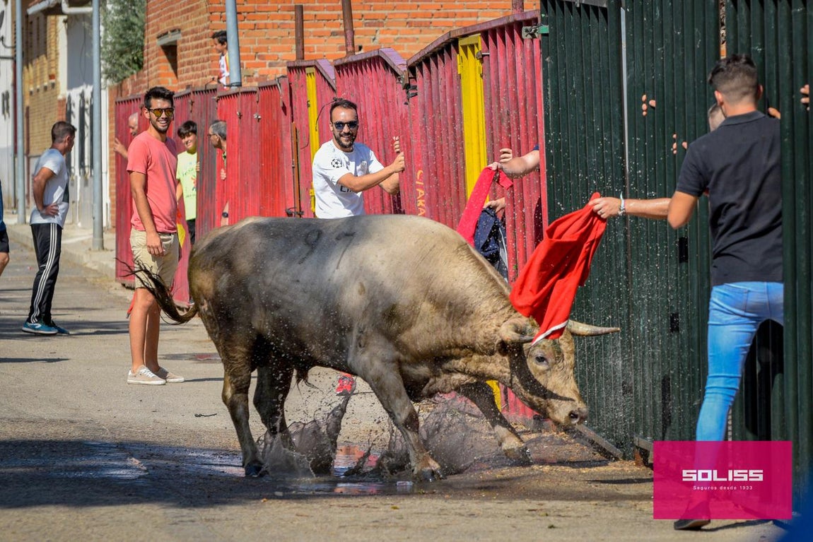 El encierro de Cobeja, en imágenes