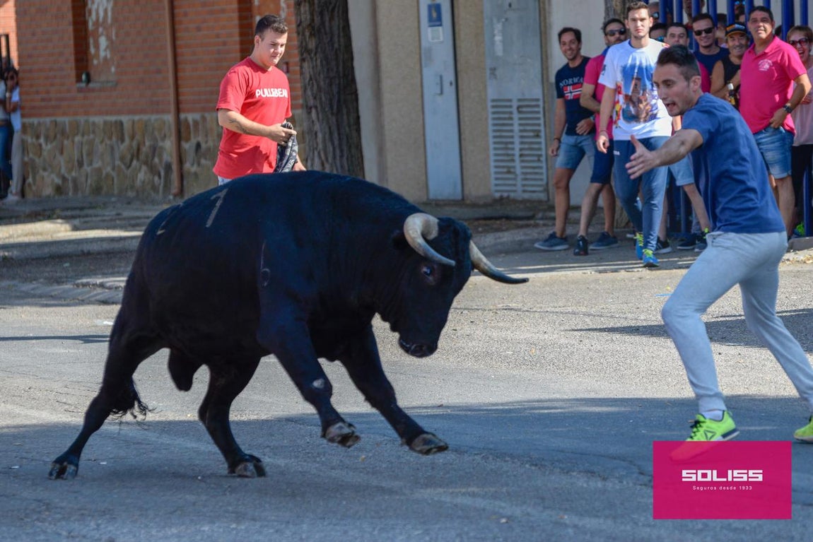 El encierro de Cobeja, en imágenes