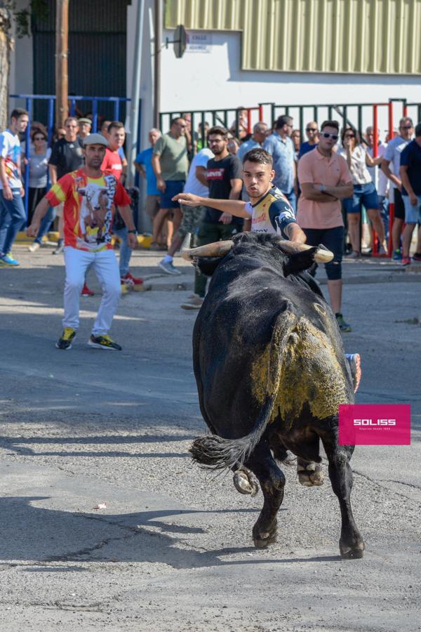 El encierro de Cobeja, en imágenes