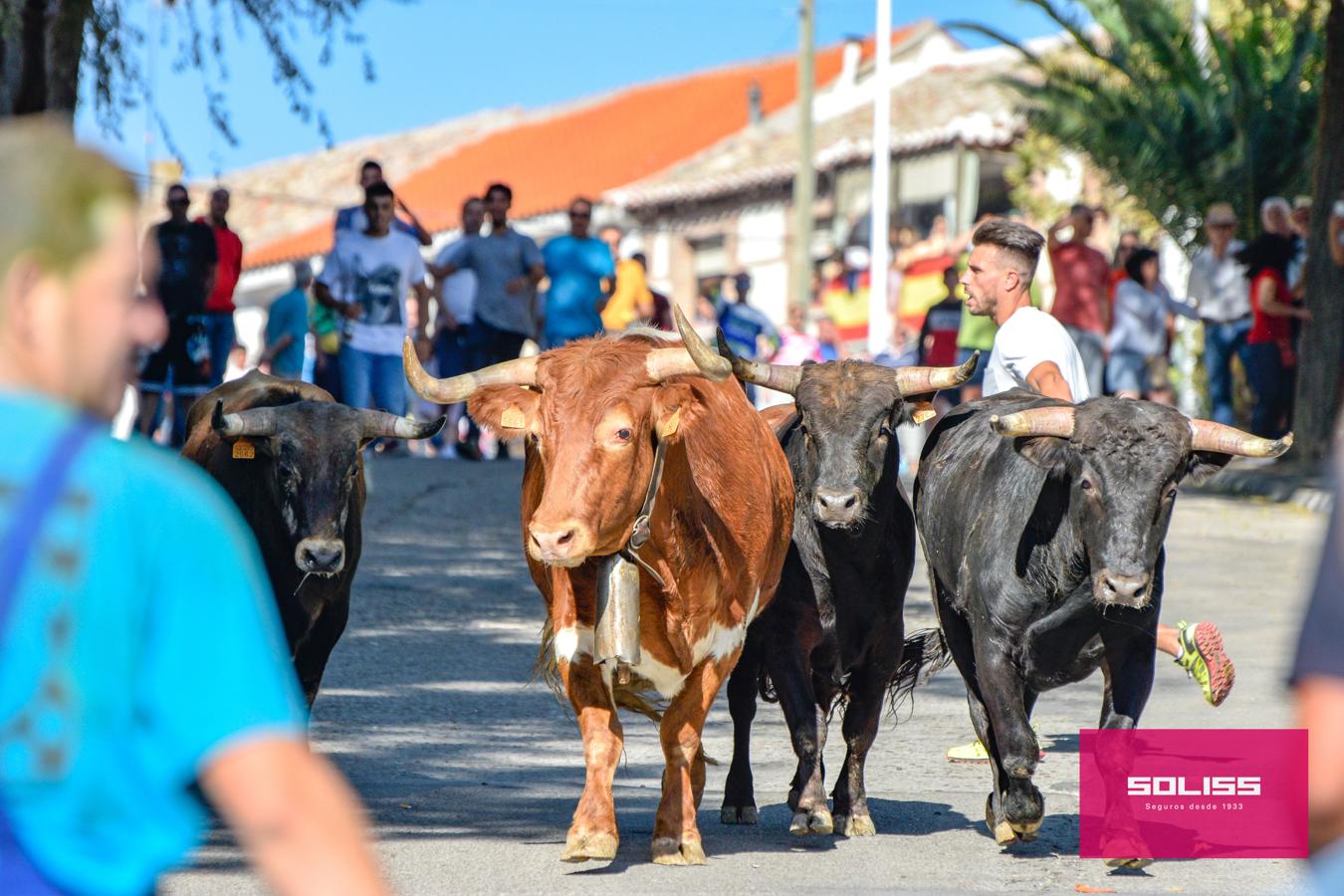 Los encierros marcan las fiestas de Yepes