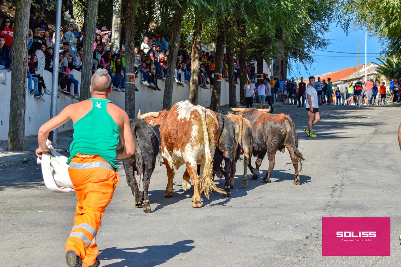 Los encierros marcan las fiestas de Yepes