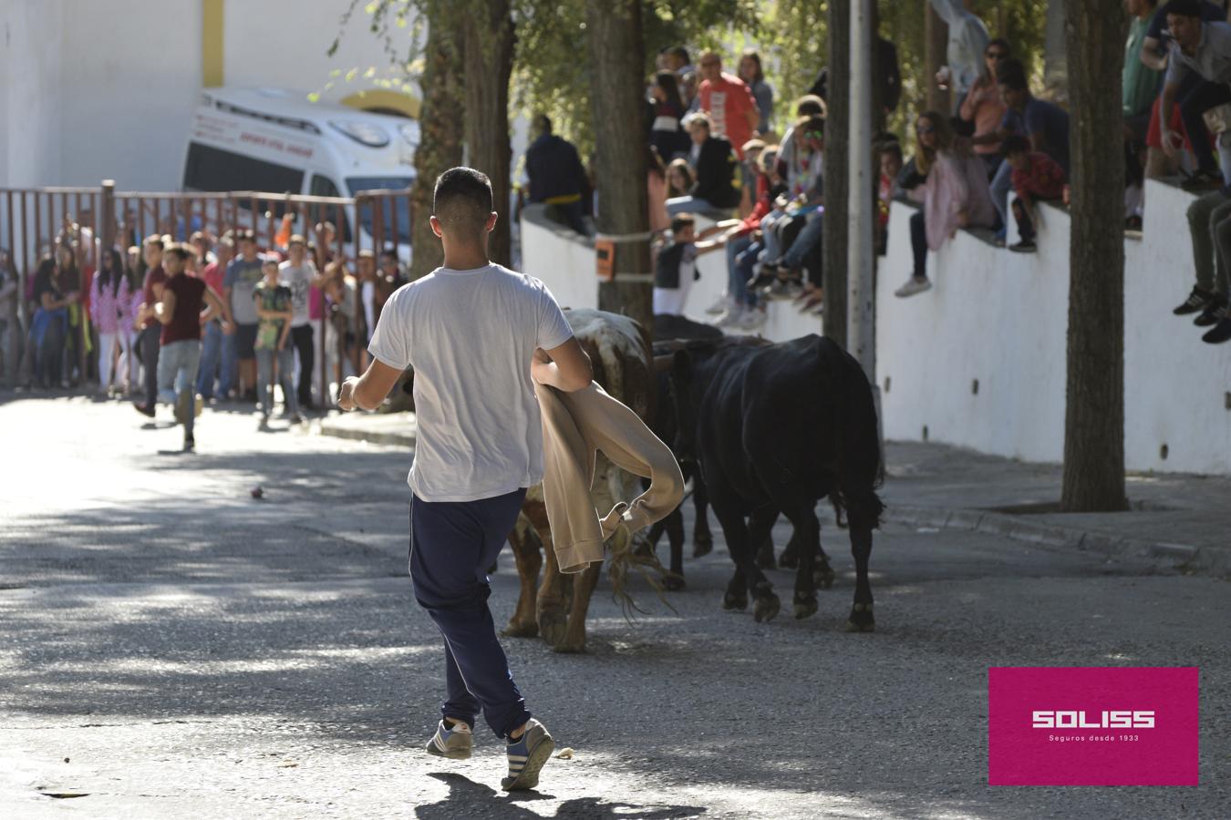 Los encierros marcan las fiestas de Yepes