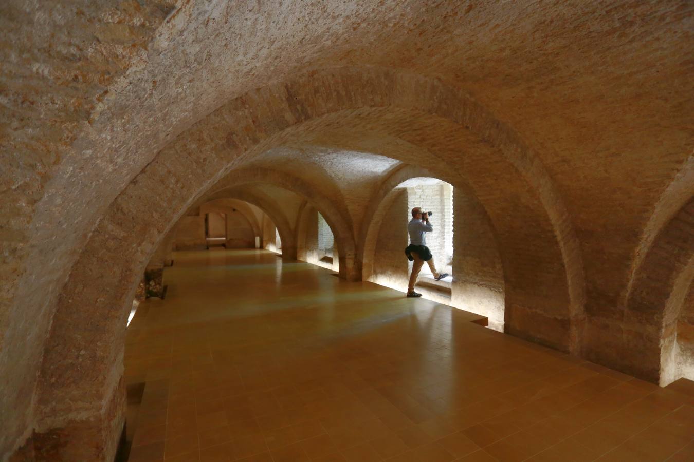 En imágenes, la nueva cara del semisótano del Palacio de Pedro I en el Alcázar de Sevilla