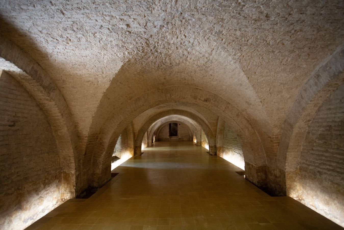 En imágenes, la nueva cara del semisótano del Palacio de Pedro I en el Alcázar de Sevilla