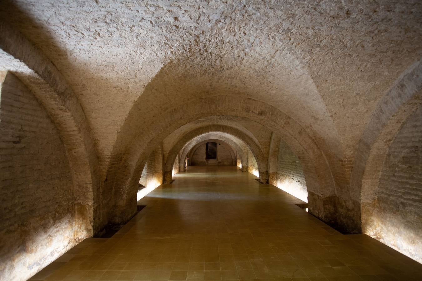 En imágenes, la nueva cara del semisótano del Palacio de Pedro I en el Alcázar de Sevilla