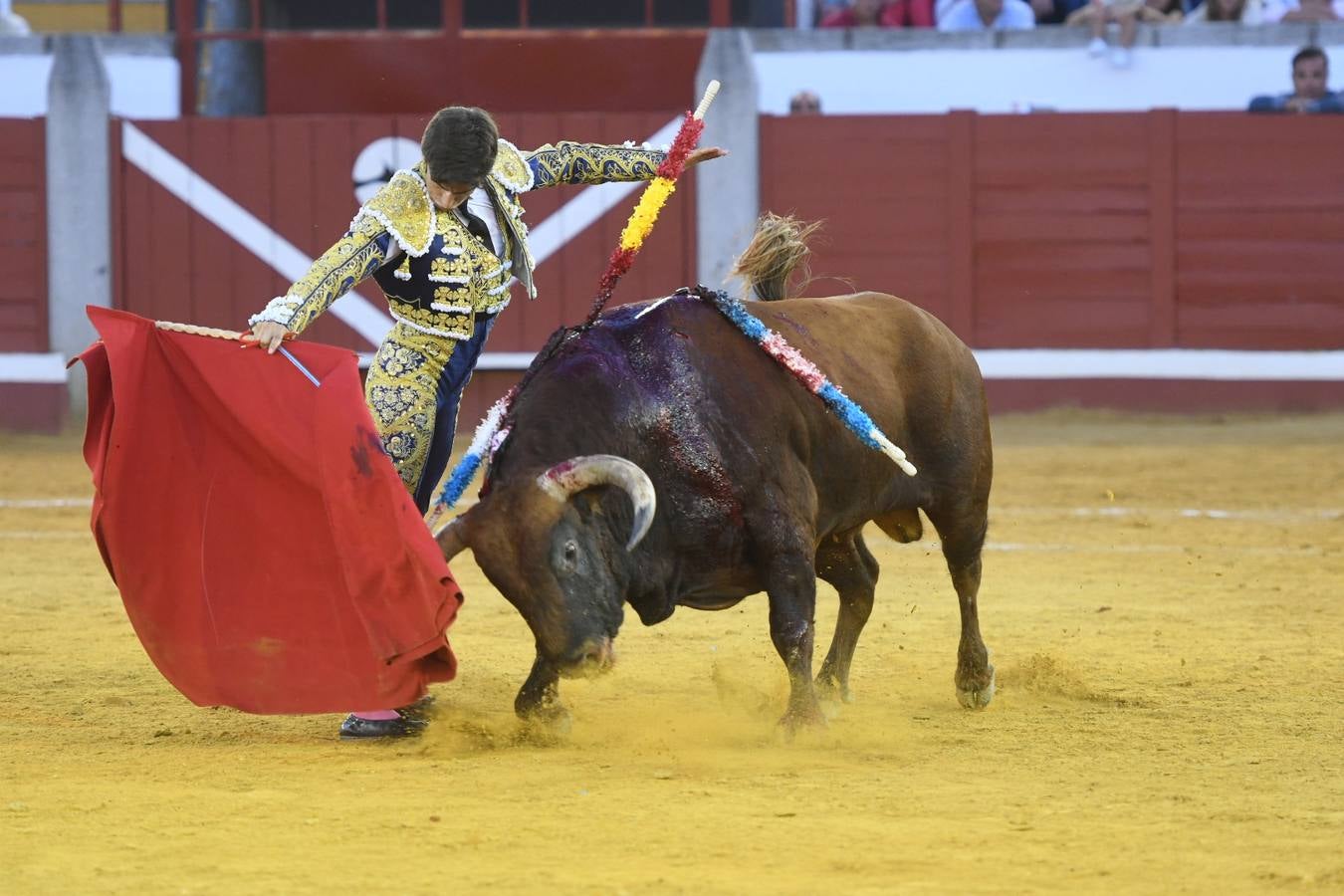 La corrida de toros de Pozoblanco, en imágenes